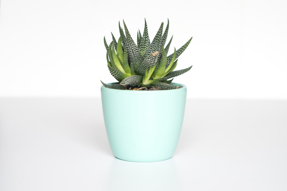 Ribbed Ceramic Floor Planter